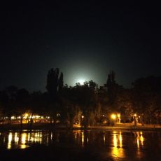 IMAG0017