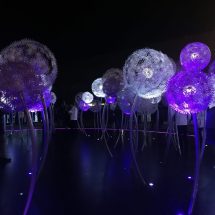 Prima dată la Samsung Unpacked, la lansarea Galaxy S9 și S9+ Prima dată la Samsung Unpacked, la lansarea Galaxy S9 și S9+ unpacked samsung s9 mwc18 galaxys9 galaxy featured