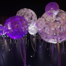 Prima dată la Samsung Unpacked, la lansarea Galaxy S9 și S9+ Prima dată la Samsung Unpacked, la lansarea Galaxy S9 și S9+ unpacked samsung s9 mwc18 galaxys9 galaxy featured