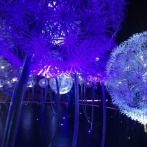 Prima dată la Samsung Unpacked, la lansarea Galaxy S9 și S9+ Prima dată la Samsung Unpacked, la lansarea Galaxy S9 și S9+ unpacked samsung s9 mwc18 galaxys9 galaxy featured