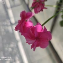 Review Xiaomi Mi Note 10 Review Xiaomi Mi Note 10 xiaomi featured-review